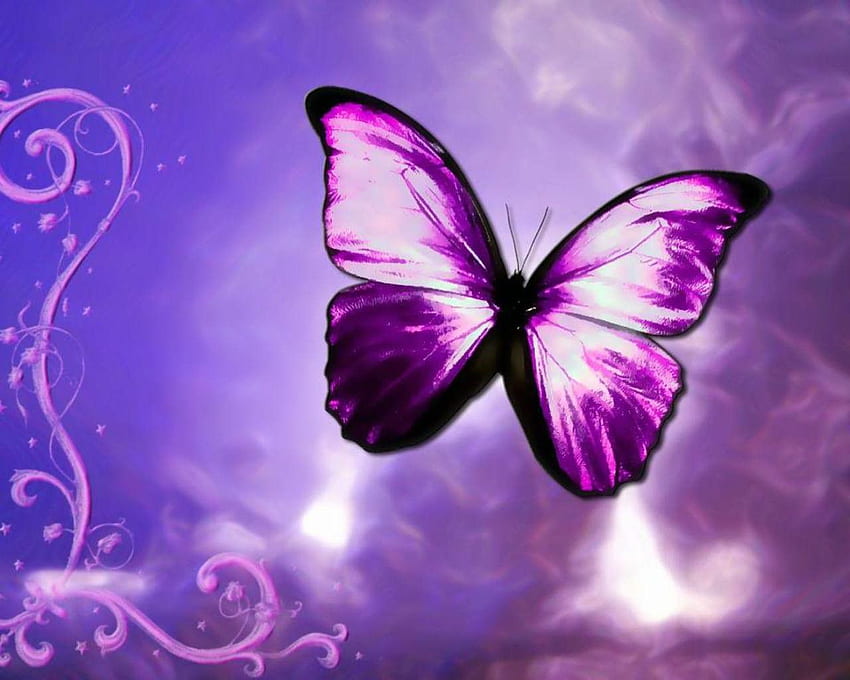 Farfalla in movimento, farfalla animata Sfondo HD