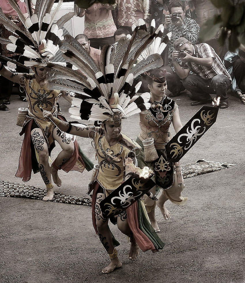 Hakeem 그래피: Dayak Dancer. 인도네시아 예술, 보르네오, 문화 무용 HD 전화 배경 화면