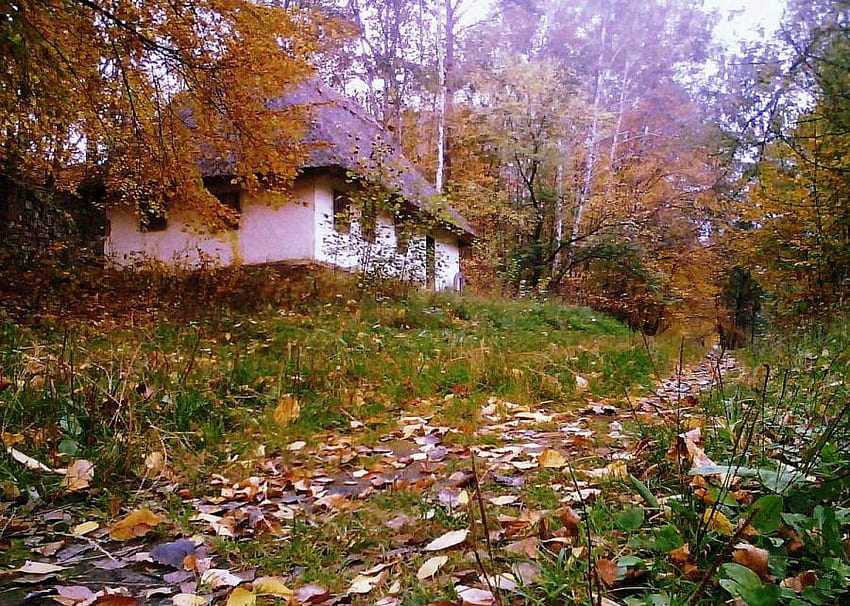 Country House, woods, rural, trees, autumn leaves, cottage, grass, country HD wallpaper
