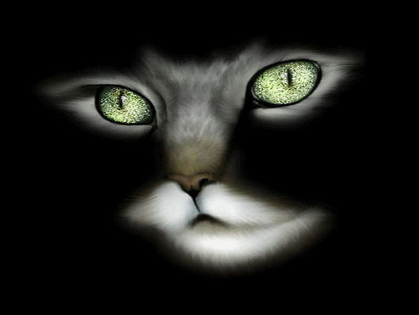 Félin aux yeux verts, animal, chaton, minou, vert, yeux, chat, yeux verts Fond d'écran HD