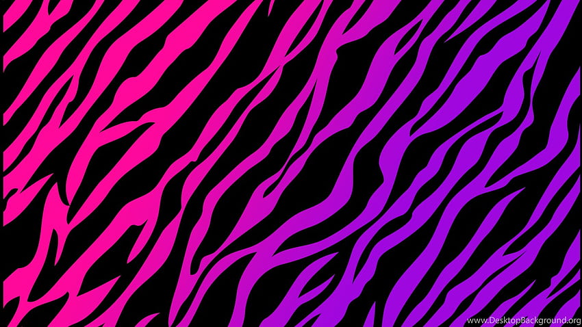 Zebra Print Pink Leopard Background HD wallpaper
