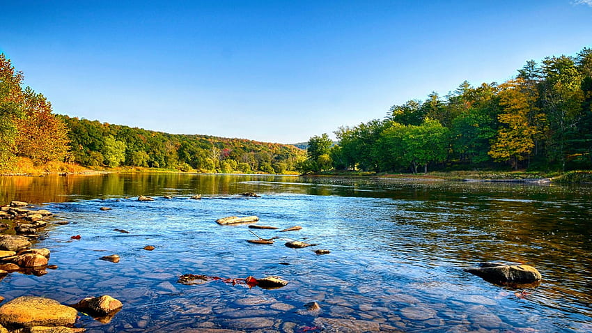 Upper Delaware River - Lackawaxen, Pennsylvania, landscape, trees, sky, water, forest, stones, usa HD wallpaper