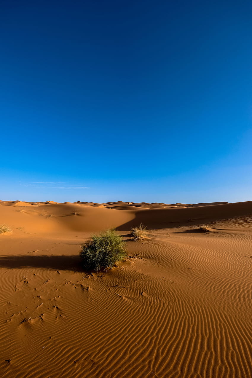 Natura, Cielo, Sabbia, Deserto, Sahara Sfondo del telefono HD