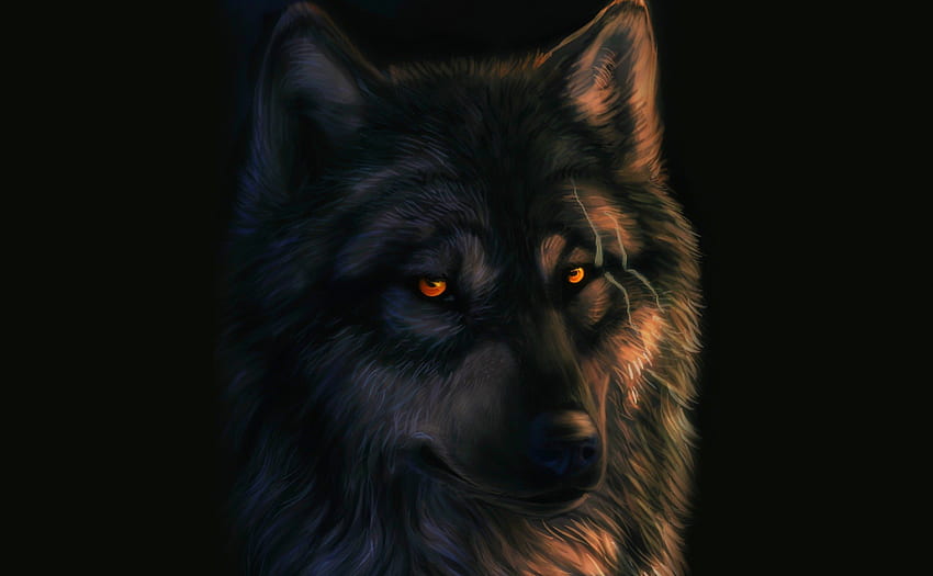 THE STARE of A WOLF, Gesicht, dunkler Hintergrund, Wolf, Kunst HD-Hintergrundbild