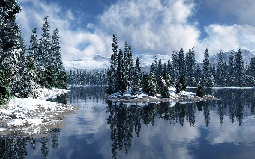 Snow Forest, Arctic Forest HD wallpaper