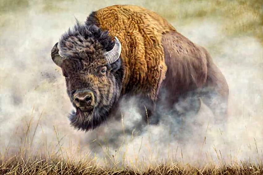 Thunder Beast - Buffalo , animal, art, beautiful, artwork, wide screen, bison, wildlife, painting, buffalo HD wallpaper