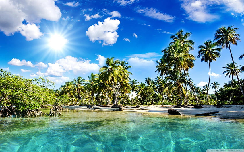 Palm trees, sea, sun, 2547.6 kbytes, pixel screen HD wallpaper