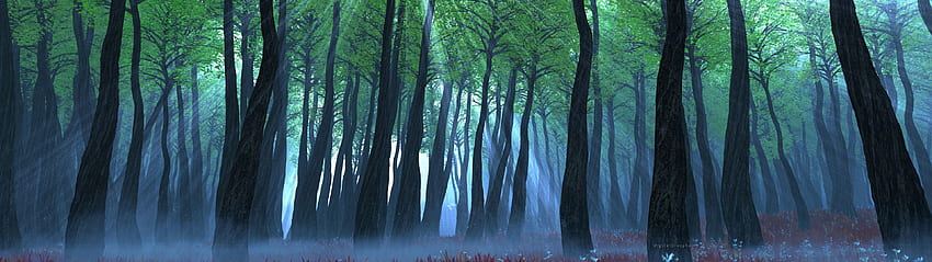 Dual Monitor Nature, 3840x1080 Forest HD wallpaper