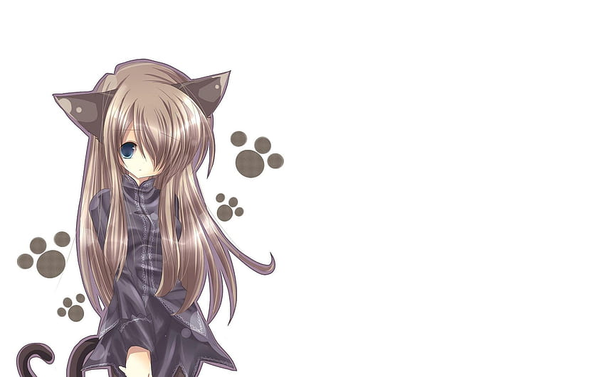 Anime Cat Girl, Cat Girl Kawaii HD wallpaper