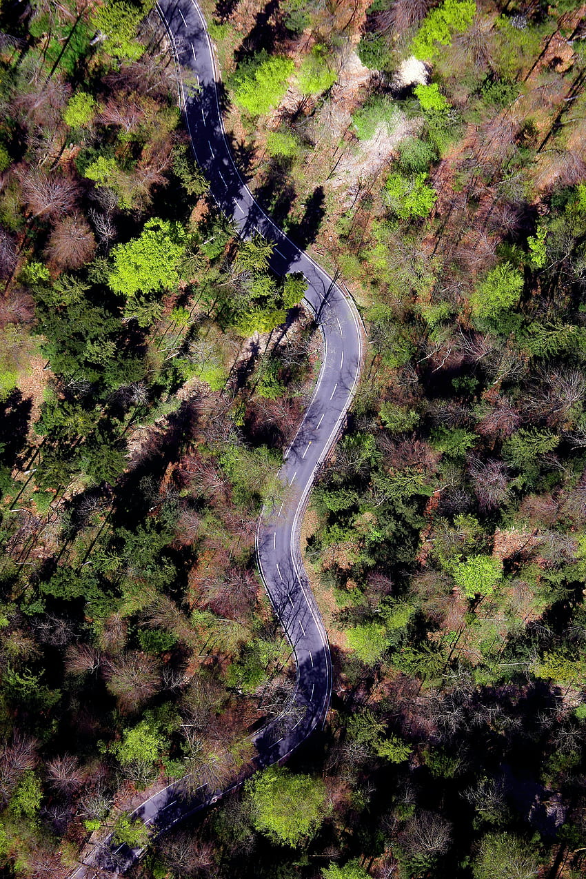Natur, Bäume, Straße, Wald, kurvenreich, gewunden HD-Handy-Hintergrundbild