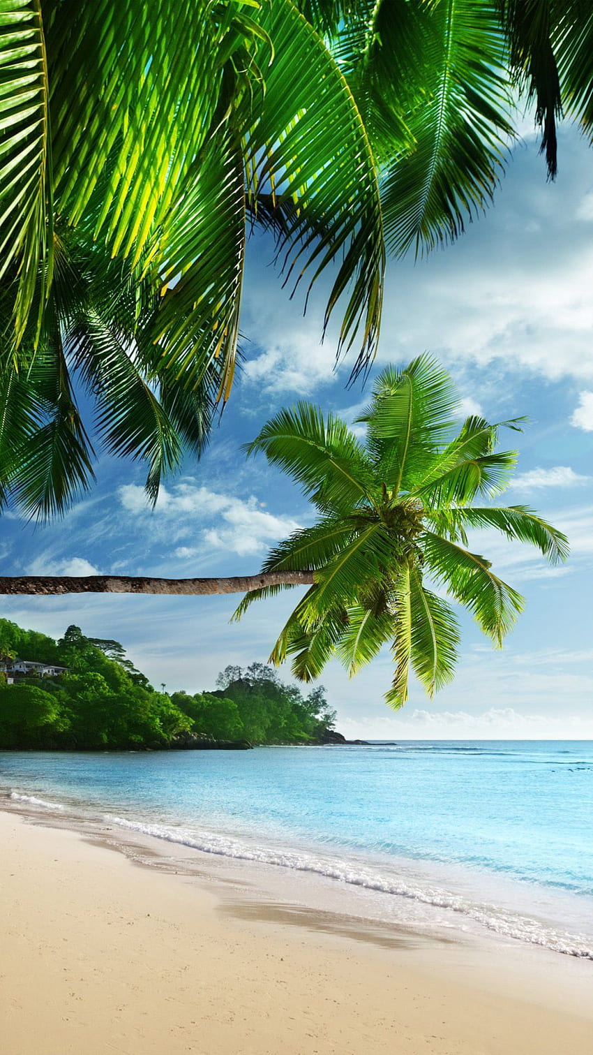 Coast Paradise Tropical iPhone - Fond D Ecran iPhone Plage, Tropical 8 Plus HD phone wallpaper
