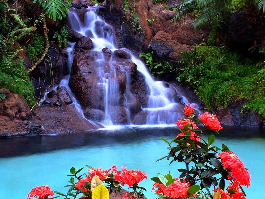 Moving waterfalls background HD wallpapers | Pxfuel
