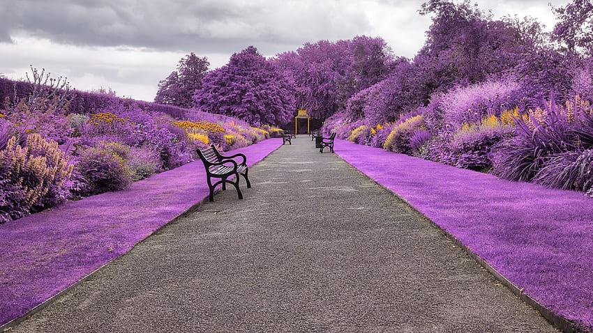 Belfast Botanic Gardens in Northern Ireland HD wallpaper