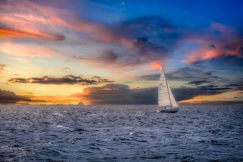 velero, naturaleza, puesta del sol, mar, horizonte, pez vela fondo de pantalla