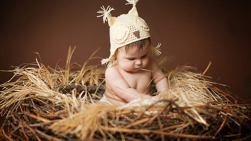 Cute Baby Is Sitting On The Nest Wearing Woolen Knitted Cap In Brown Background Cute HD wallpaper