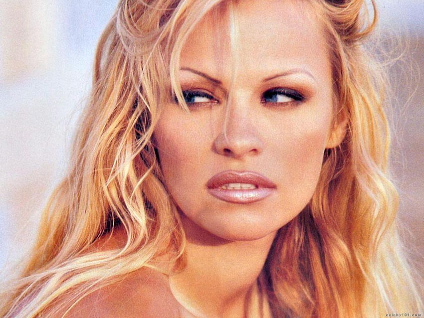 Rake Lita: Pamela Anderson HD wallpaper
