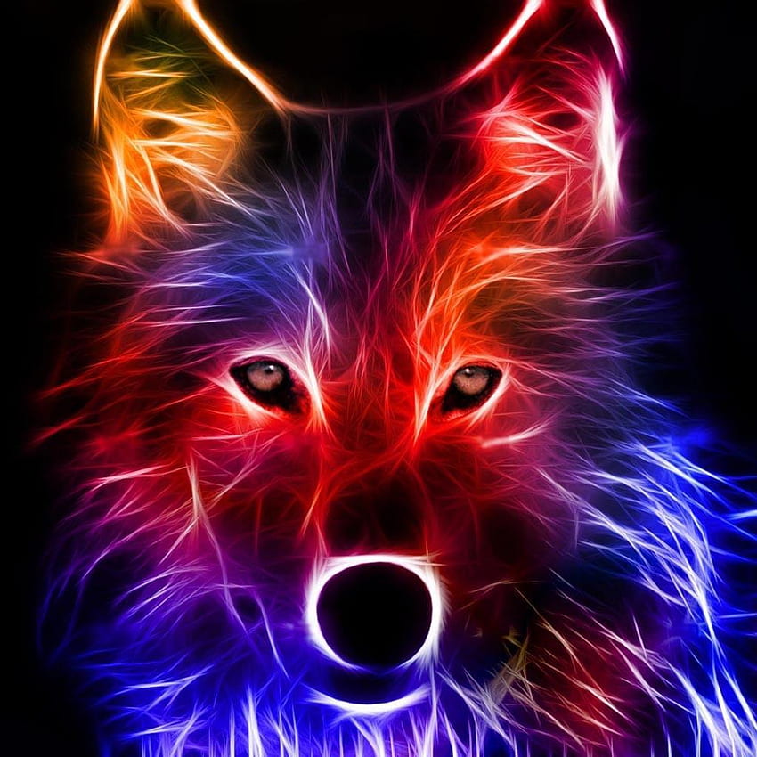 Lobo neon, lobo azul neon Papel de parede de celular HD