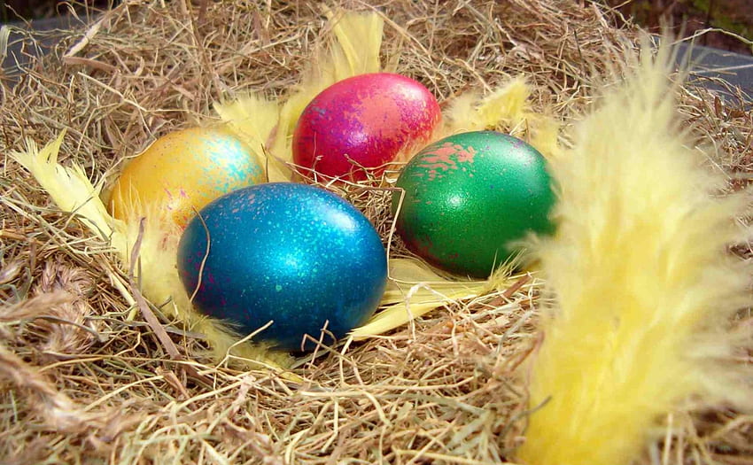 Easter Eggs, colored eggs, happy easter, colors, easter, eggs HD wallpaper
