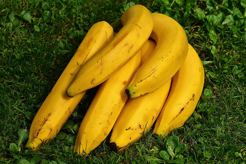 Obst, Lebensmittel, Gras, Bananen, reif HD-Hintergrundbild