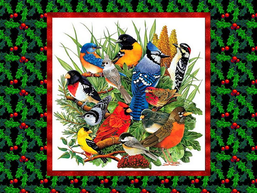 Burung, musim dingin, binatang, burung, salju, natal, merah, kardinal Wallpaper HD