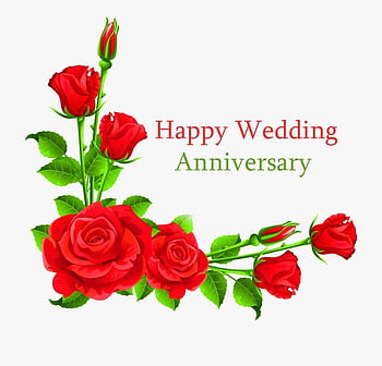 Wallpaper Wedding Anniversary Anniversary Wedding Petal Flower  Background  Download Free Image