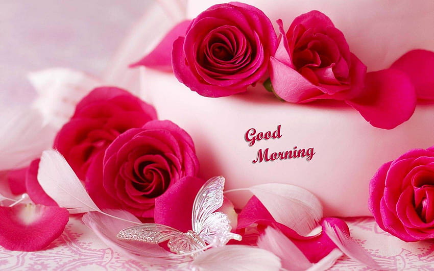 Good Morning Beautiful Romantic Good Morning HD Wallpaper Pxfuel