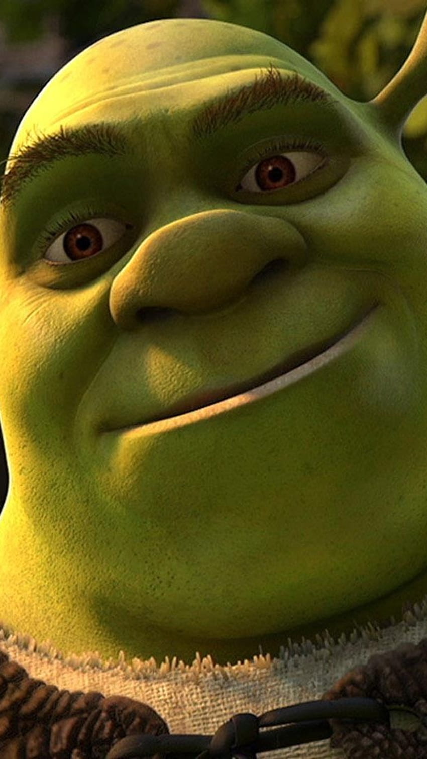 Shrek And Donkey - -, Shrek Meme, HD phone wallpaper