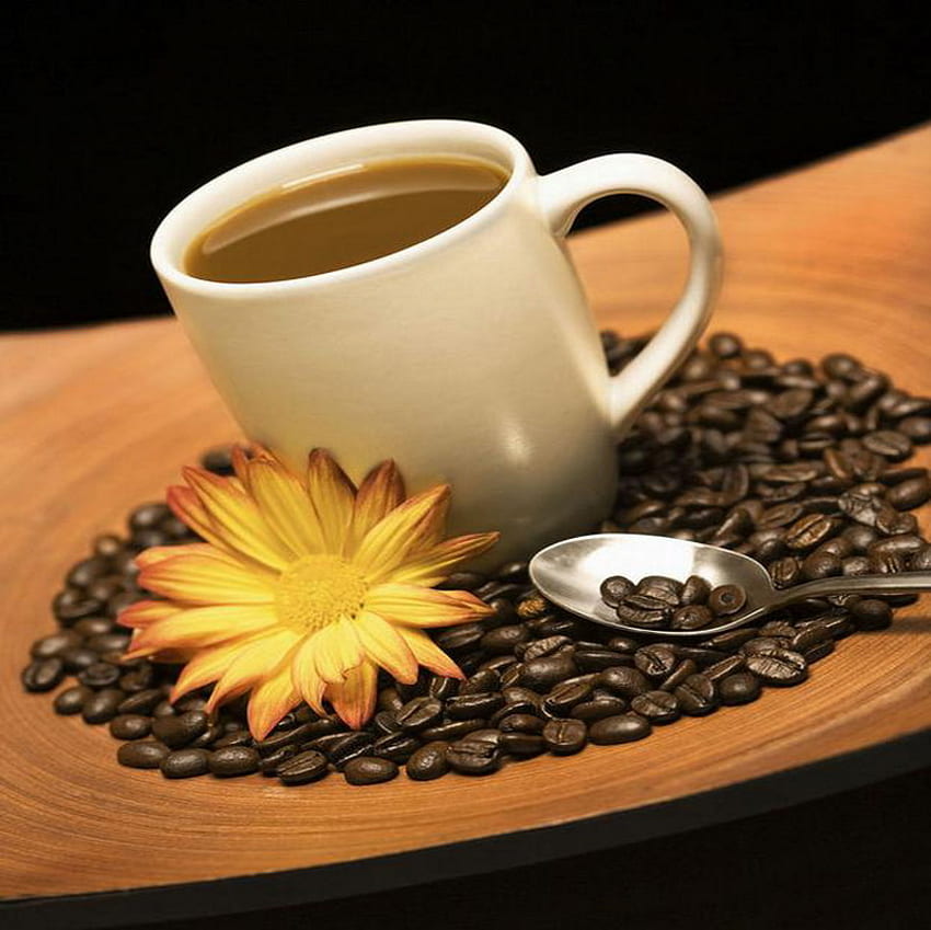 daisy and coffee, coffee, spoon, cup, daisy HD wallpaper
