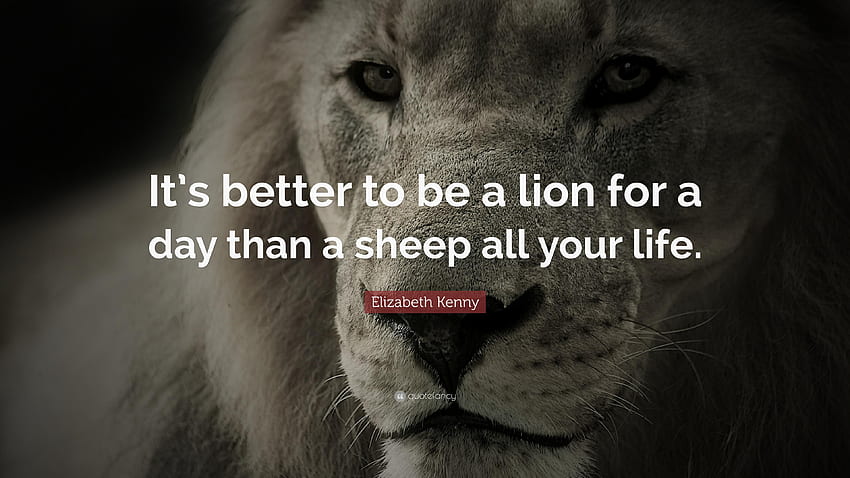 Lion - Quotes Of Lion In English, on Jakpost HD wallpaper | Pxfuel
