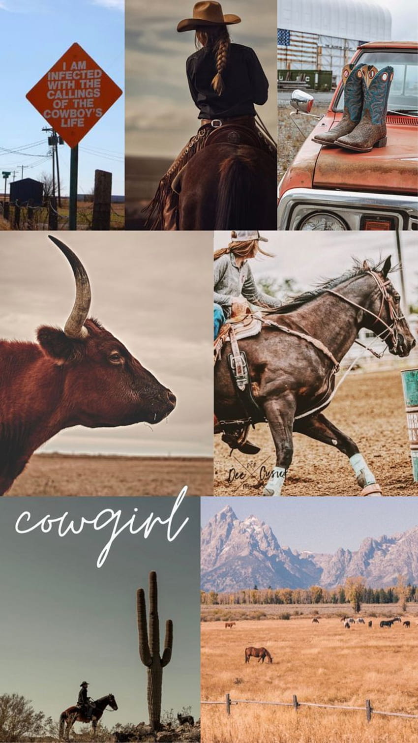 estetica da cowgirl nel 2021. country, graphy occidentale, cavallo, bella cowgirl Sfondo del telefono HD