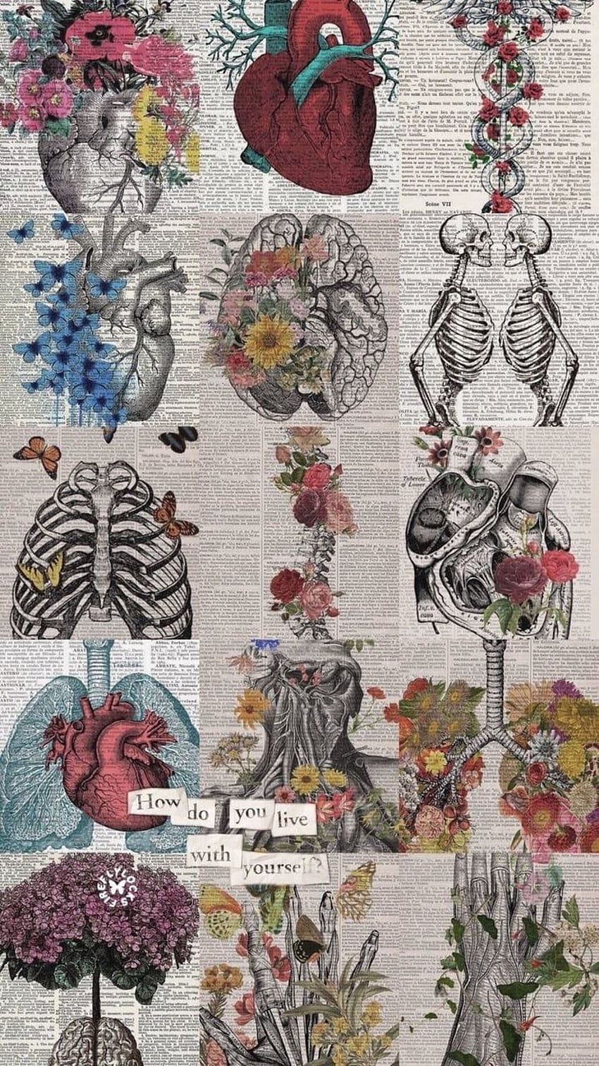 картинка найдено пользователем ✰ zowi ✰. Seni , Seni Anatomi, Kedokteran, Estetika Medis wallpaper ponsel HD