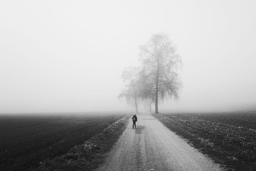 Trees, Silhouette, Road, Fog, Minimalism, Bw, Chb, Loneliness HD wallpaper