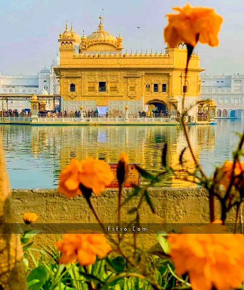 Golden Temple Amritsar Beautiful 2020 2021, Golden Temple at Night HD phone  wallpaper | Pxfuel