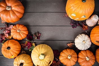 Pumpkin Wheel autumn fall fall scenes halloween halloween pumpkins  patch HD phone wallpaper  Peakpx