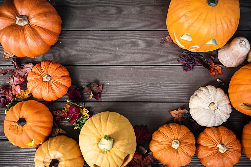 かぼちゃ、白かぼちゃの秋 高画質の壁紙