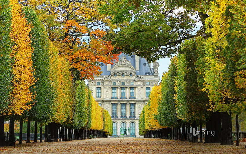 Jardin des Tuileries en automne, menant au Musée du Louvre à Paris, France - Bing Fond d'écran HD