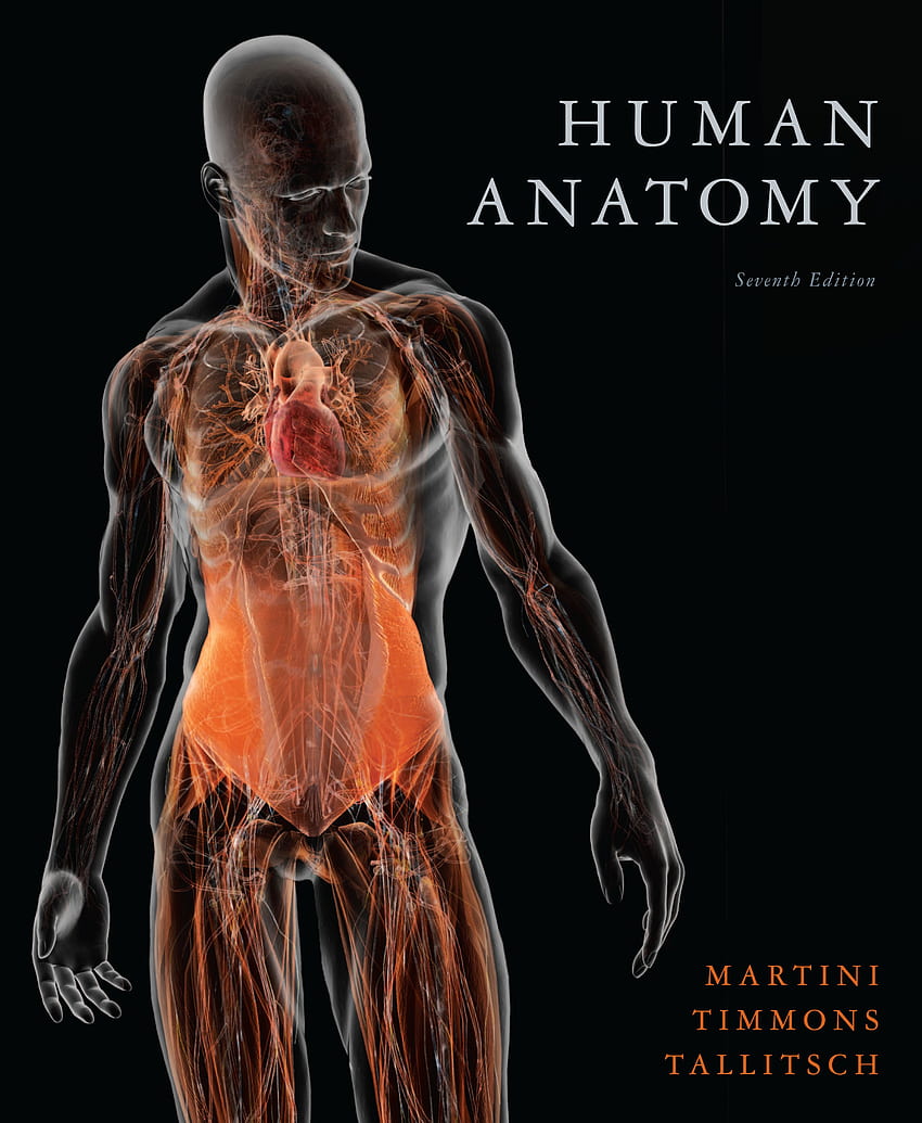 Human Anatomy - Human Anatomy Book Cover - -, Muscle Biology HD phone wallpaper