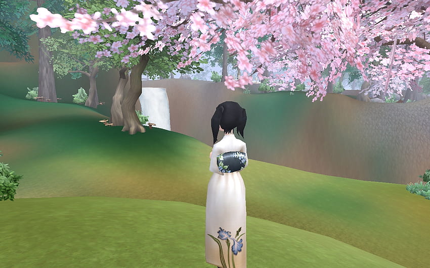 しだれ桜の下で、庭、しだれ桜、絵、日本の女の子 高画質の壁紙