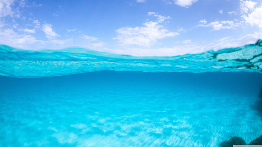 Half Underwater, Half Above Hd Wallpaper 