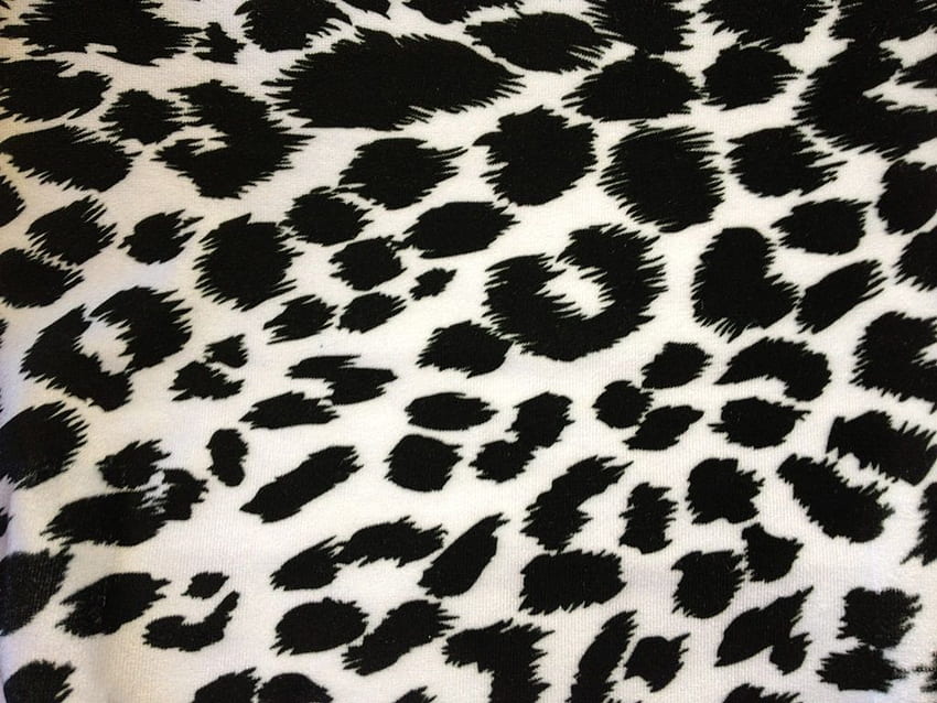 Black And White Leopard Print Fine [] for your , Mobile & Tablet. Explore White Leopard . Snow Leopard , Black Leopard HD wallpaper