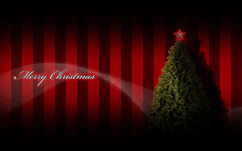Holidays, Christmas, Holiday, Inscription, Christmas Tree, Garland, Star, Congratulation HD wallpaper