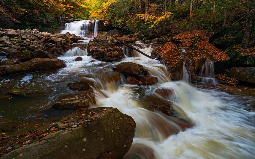 Kennedy Falls nelle selvagge colline del West Virginia, pietre, fiume, foglie, alberi, cascate, rocce, usa Sfondo HD