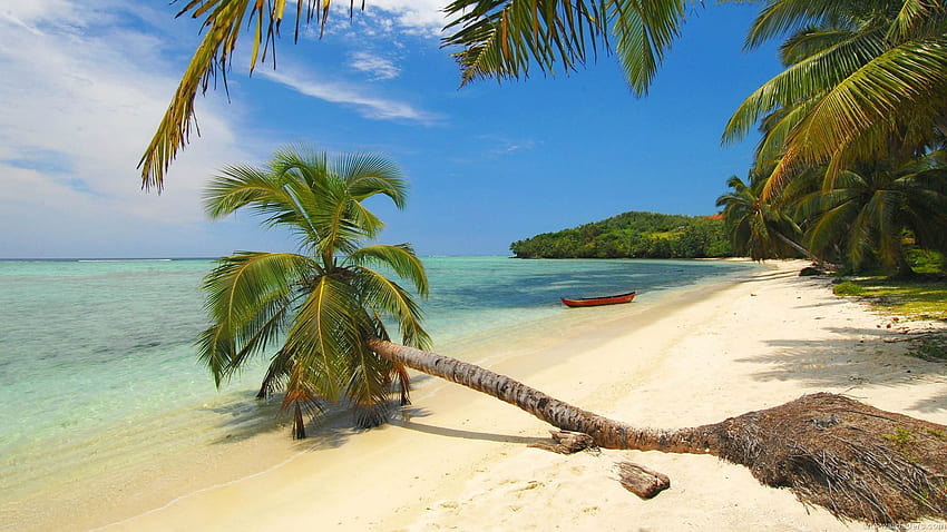 Sur une plage de Madagascar. Belles plages, Les plus belles plages, Plages du monde, Île de Madagascar Fond d'écran HD