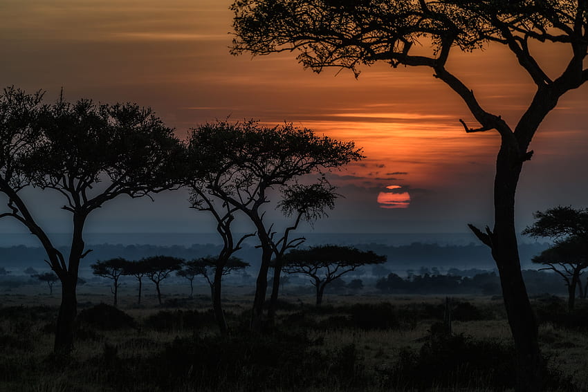 Africa Sunset . Africa sunset, Sunset , Africa sunrise, African Sunrise HD wallpaper