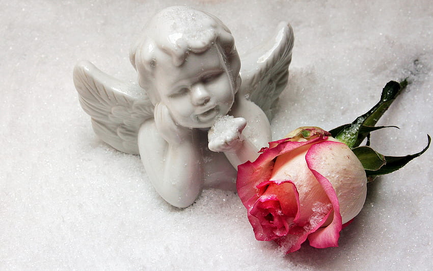 Angel kiss, craciun, cute, figurine, angel, rose, pink, flower, christmas, kiss HD wallpaper