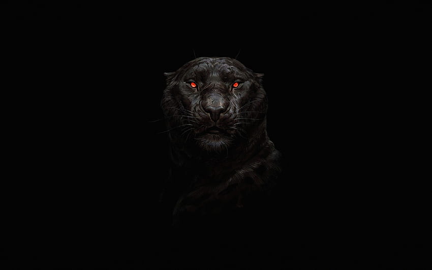 Tigre, ojos rojos brillantes, depredador, oscuro, , Ultra 16:10, ancha, ultra negro fondo de pantalla