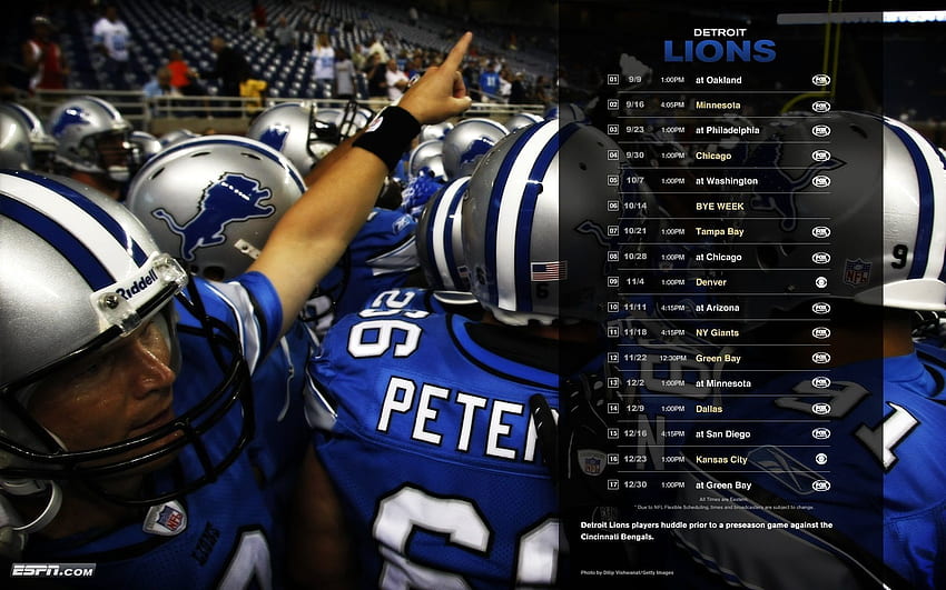 Detroit Lions background, Cool Detroit Lions HD wallpaper