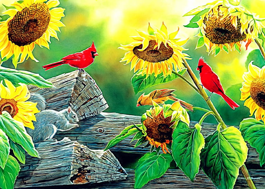 ★Sunflower Buffet★, colorful, birds, colors, sunflowers, animals, bright, drawings, adorable, cardinals, timbers, squirrels, paintings, beautiful, lovely flowers, seasons, creative pre-made, summer, love four seasons, yellow, nature, lovely HD wallpaper