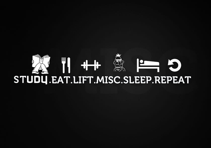 Studieren, essen, heben, verschiedenes, schlafen, wiederholen, Bodybuilding-Motivation HD-Hintergrundbild