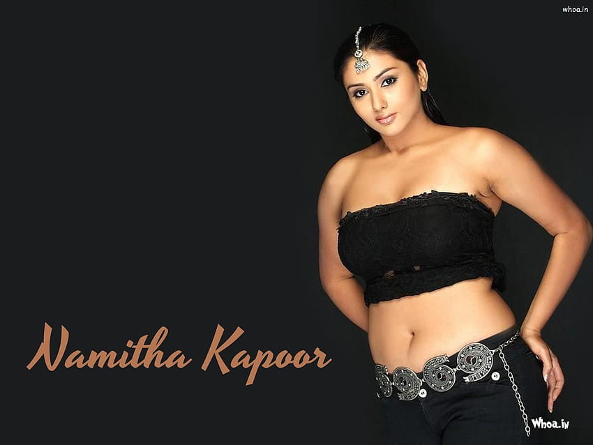 - Secy Hot Namitha Kapoor - HD wallpaper